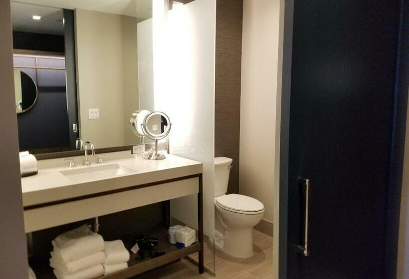 适合残疾人使用的标准间, Hyatt Regency Frisco Dallas
