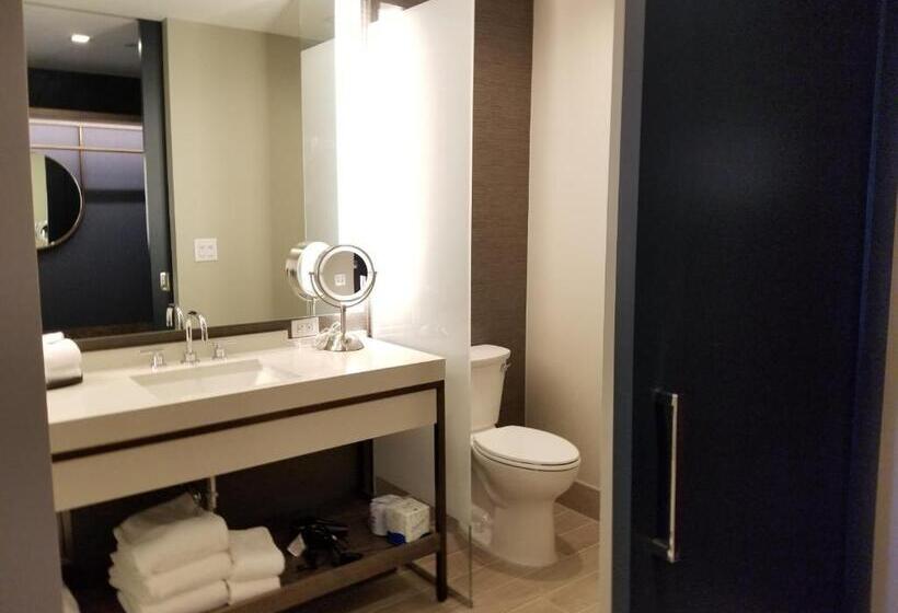 适合残疾人士使用的带超级大床的标准间, Hyatt Regency Frisco Dallas