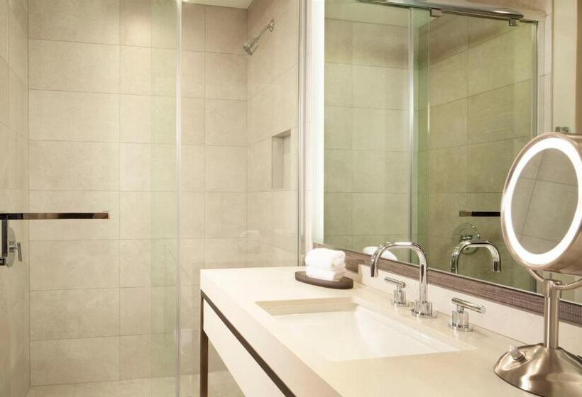 غرفة قياسية سرير كينج لذوى الإحتياجات الخاصة, Hyatt Regency Frisco Dallas