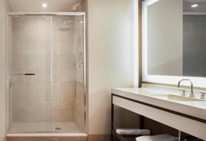 标准间, Hyatt Regency Frisco Dallas