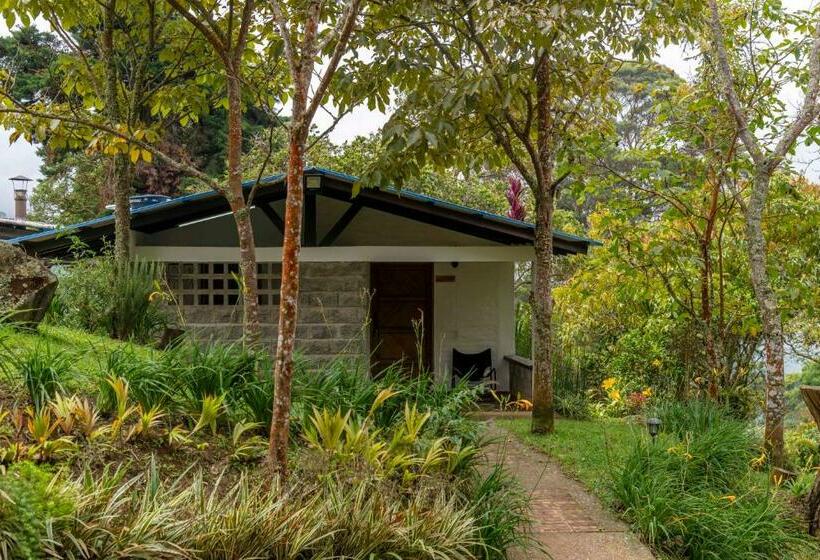 ２ベッドルームハウス, La Maima