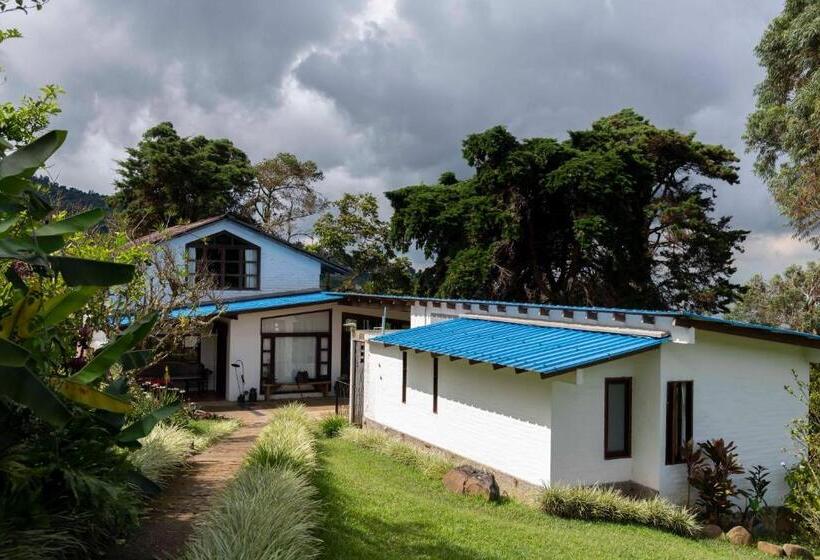 １ベッドルームハウス, La Maima