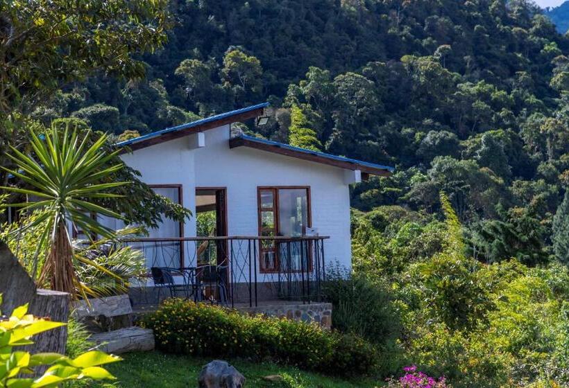 １ベッドルームハウス, La Maima