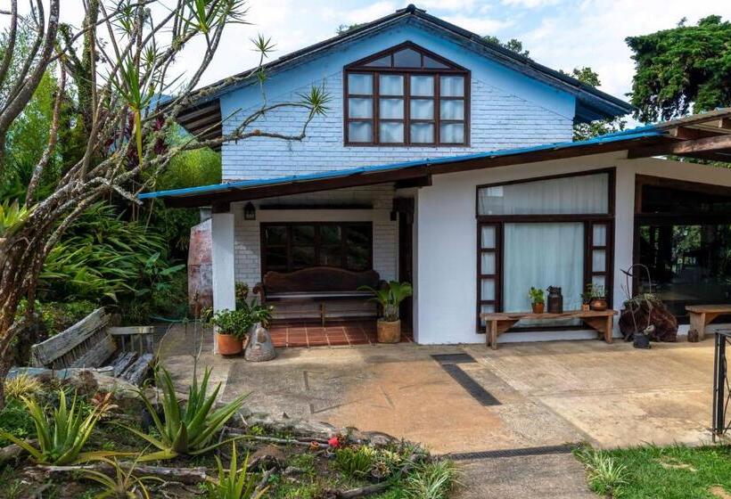 ３ベッドルームハウス, La Maima