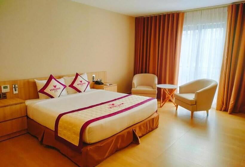 اتاق سوپریور, Visuha