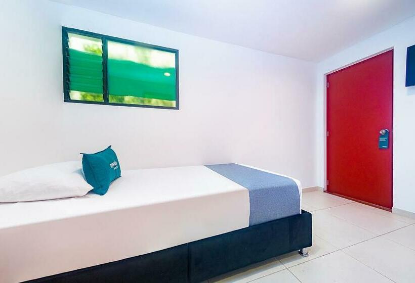 スタンダードシングルルーム, Hostal Amanari