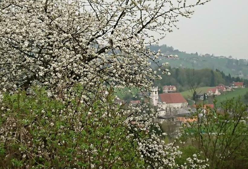 غرفة قياسية مزوَّدة بشُرفة, Gästehaus Der Gamser Winzerstube