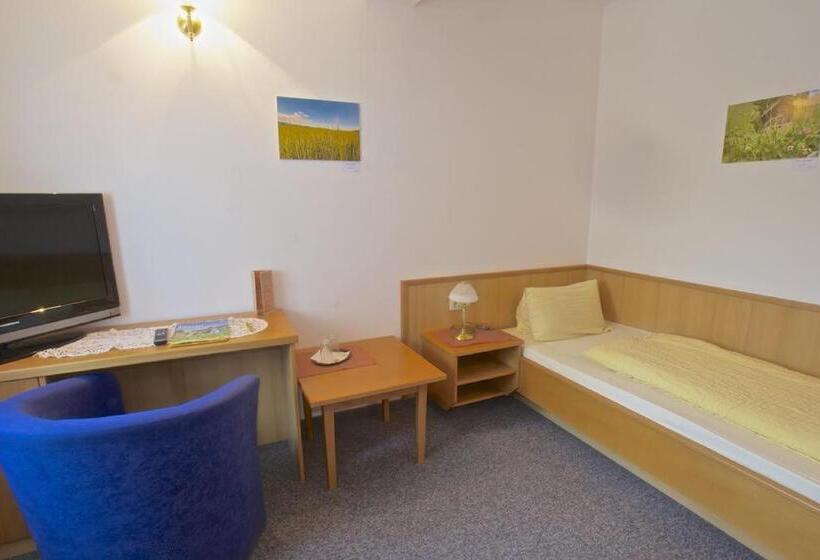 חדר סטנדרט יחיד, Gasthof Hotel Zur Linde