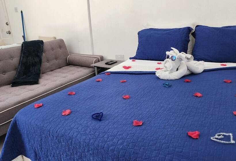 آپارتمان 1 خوابه, Caribbean Dream Vacation Property