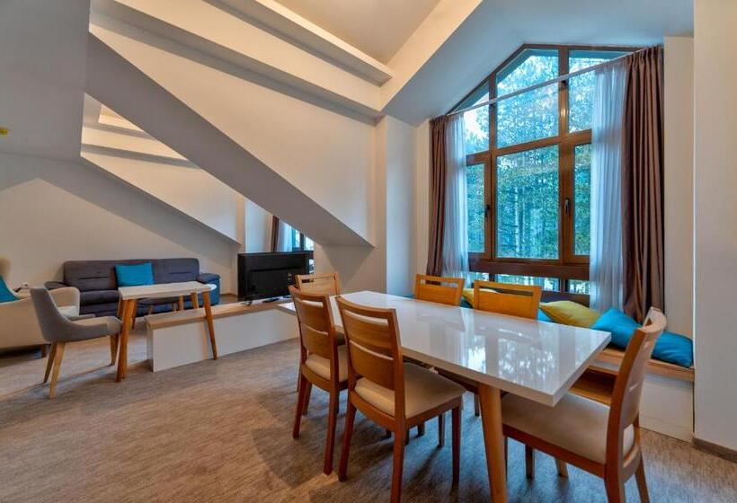آپارتمان 1 خوابه, Apartments Kulturni Centar Zlatibor