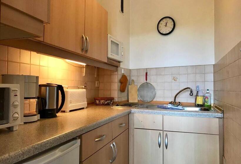 Апартаменты 1 Спальня с Балконом, Gluecksburg 2 _ Ferienwohnung 3822