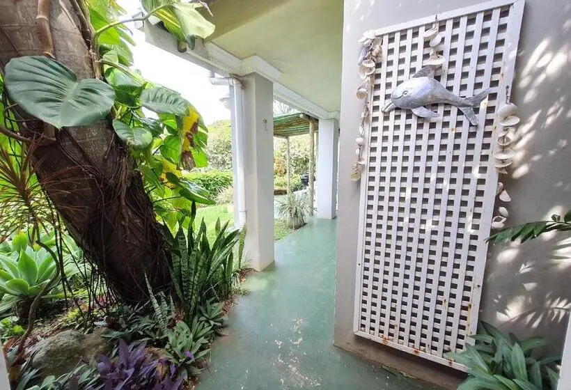 キャビン, Shaka S Seat Guesthouse