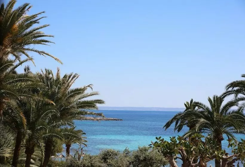 سوییت با چشم‌انداز دریا, Son Caliu Spa Oasis