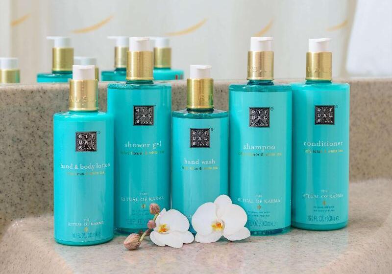 غرفة تنفيذية, Novotel Torino Corso Giulio Cesare