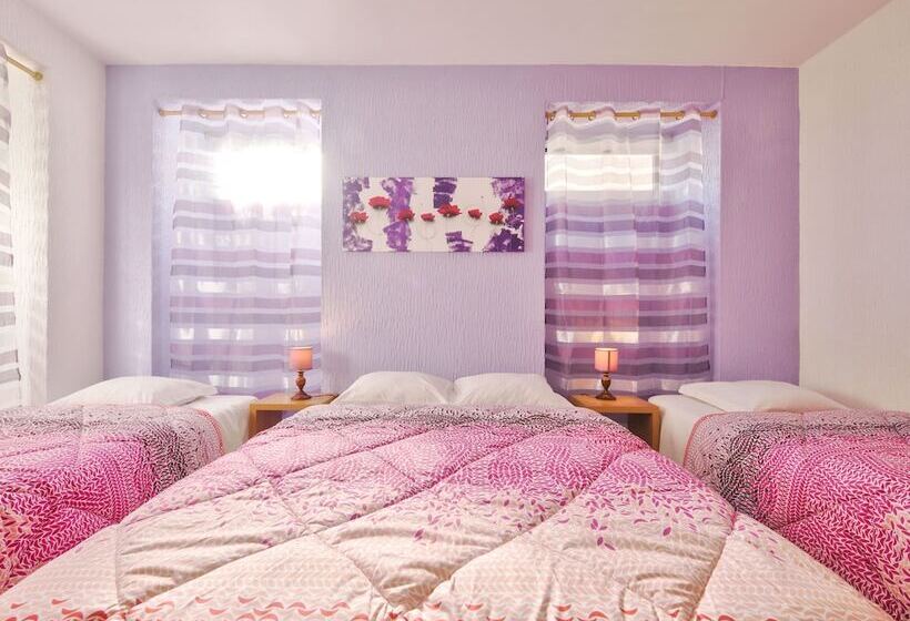 غرفة قياسية رباعية, Palmeira