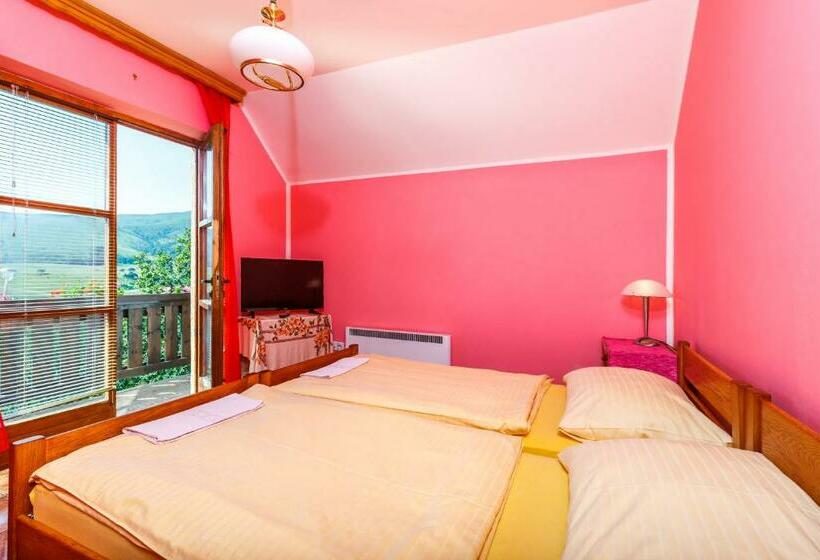 اتاق استاندارد با چشم‌انداز, Guest House Vila Djokic