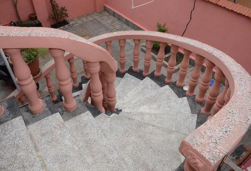 اتاق استاندارد, Nana's House