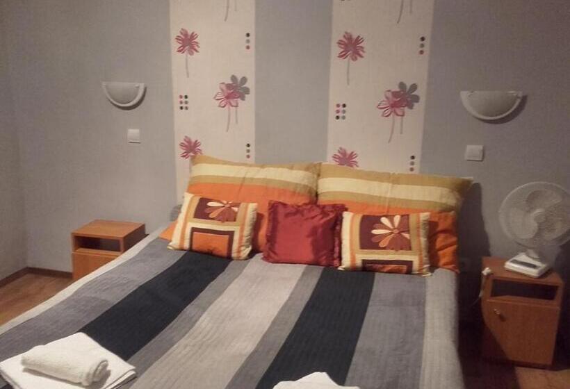 חדר סטנדרט לארבעה, Réka Vendéghàz