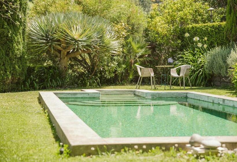 منزل غرفة نوم واحدة, Casa Da Muda