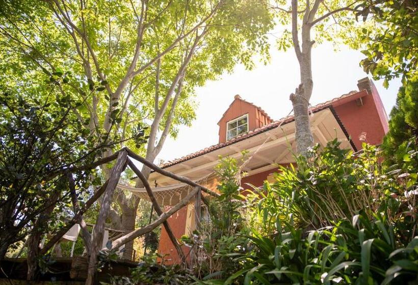 منزل غرفة نوم واحدة, Casa Da Muda