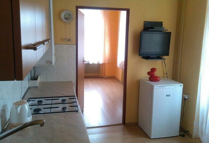 דירת חדר, Pension Vidhous 1