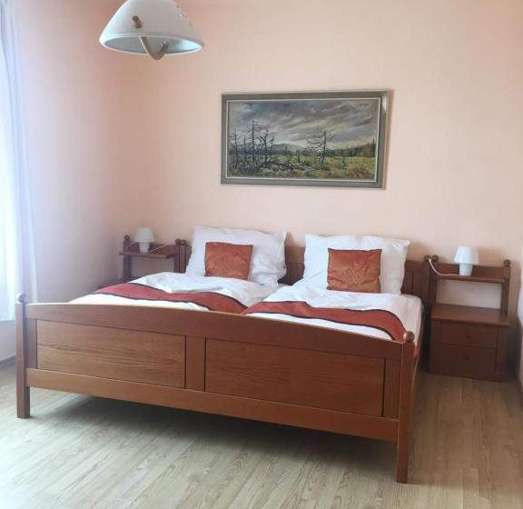 סוויטת 2 חדרי שינה, Pension Vidhous 1