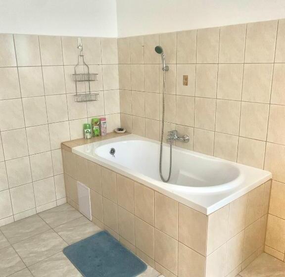 Люкс 2 Спальни, Pension Vidhous 1
