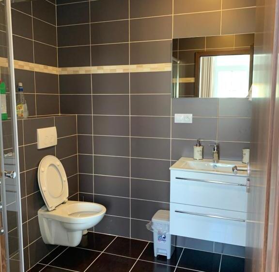 דירת חדר, Pension Vidhous 1