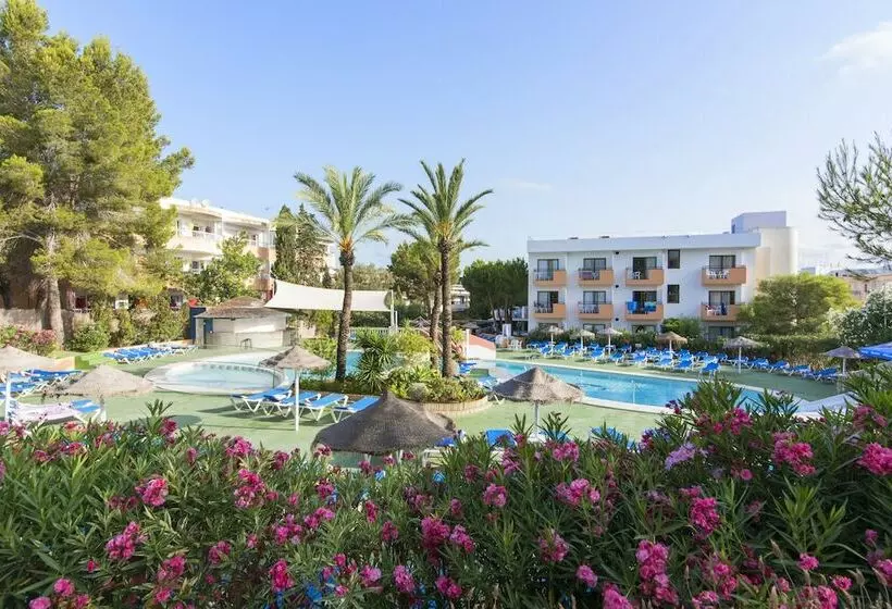 スタンダードルーム, Azuline Hoteles Mar Amantis & Ii
