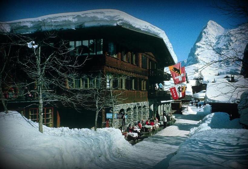 Номер Стандарт, Blumental