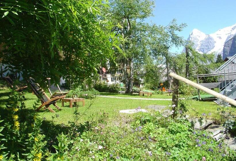 Номер Economy, Blumental