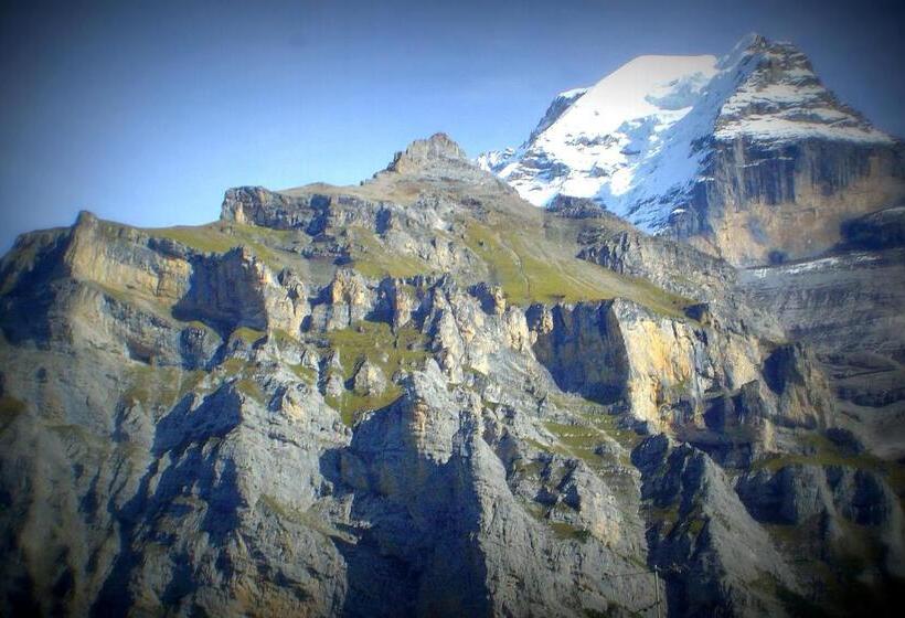 Номер Стандарт, Blumental