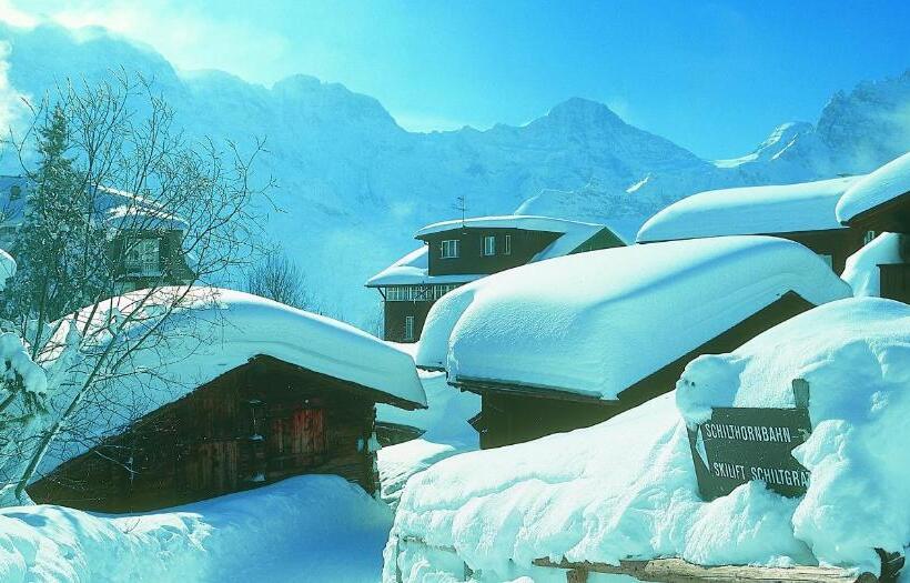 Номер Стандарт, Blumental