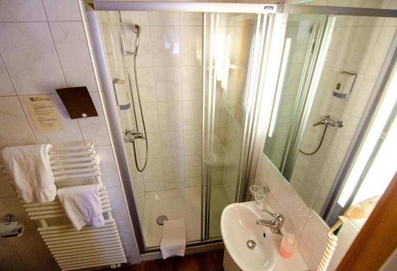 Номер Economy, Blumental