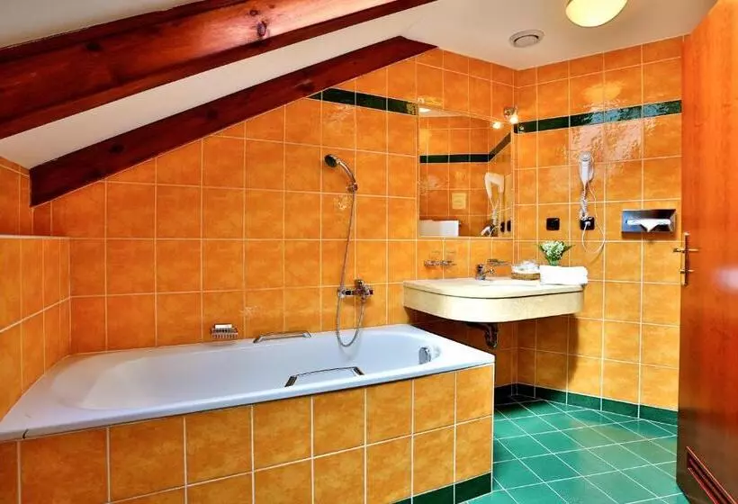 Standard Kolmen Hengen Huone, Carlton