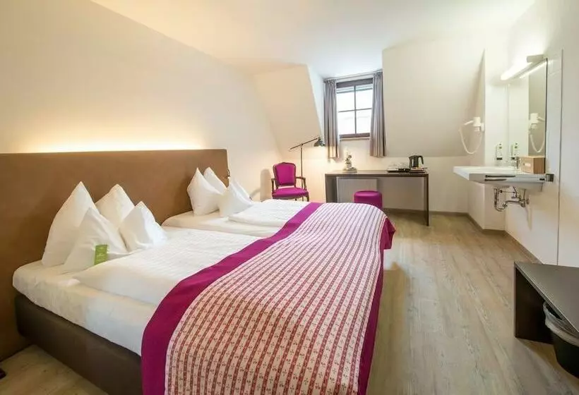 اتاق اکونومی با حمام مشترک, Der Salzburger Hof