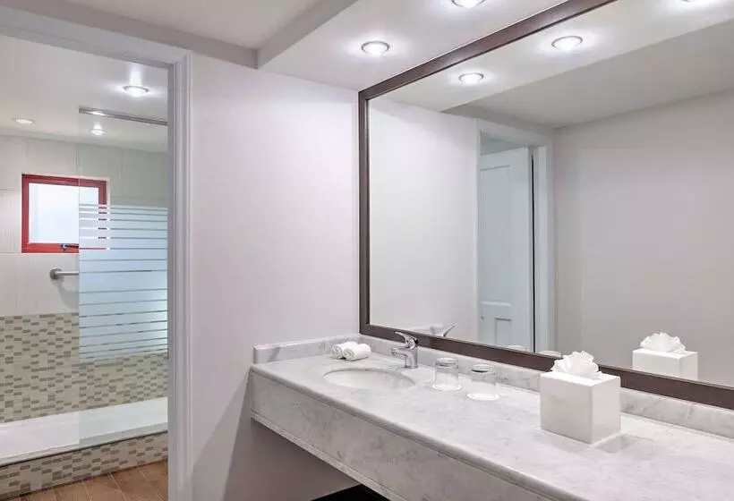 اتاق لوکس, Four Points by Sheraton Santiago