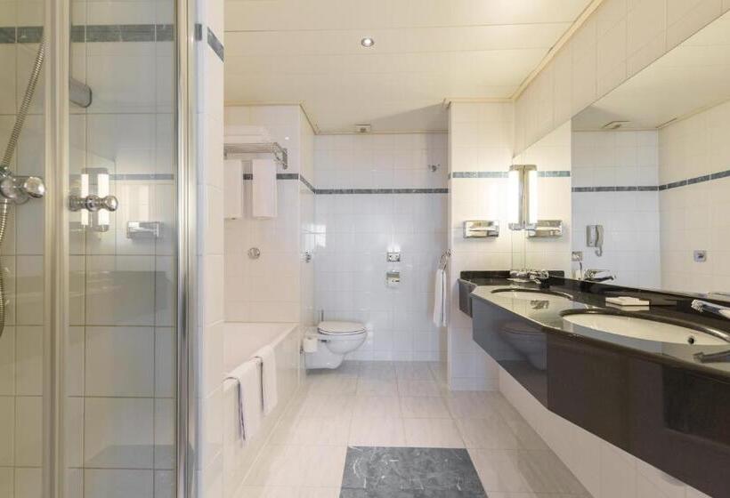 Полулюкс, Radisson Blu Hotel Amsterdam Airport, Schiphol