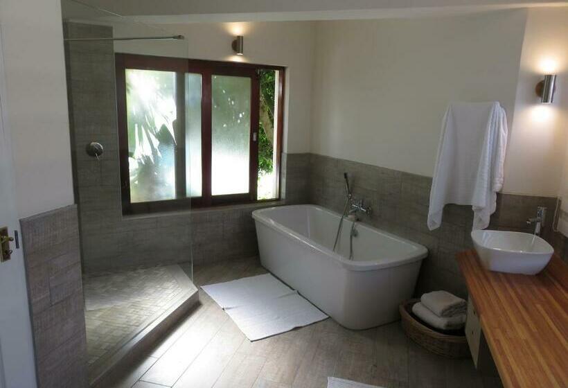 اتاق استاندارد با تخت بزرگ, The View