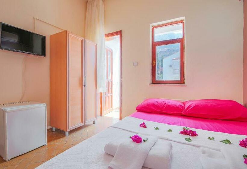 اتاق استاندارد یک نفره, Saray