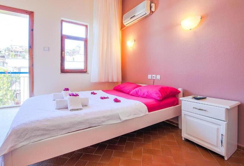 اتاق استاندارد, Saray