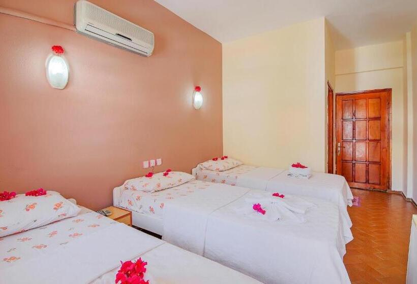 اتاق استاندارد سه نفره, Saray