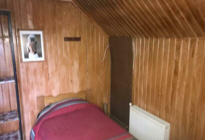 מיטה בחדר משותף, Backpacker 644