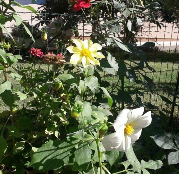 استودیو استاندارد با تخت کینگ, Apartman Mona