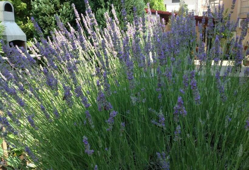 استودیو استاندارد با تخت کینگ, Apartman Mona