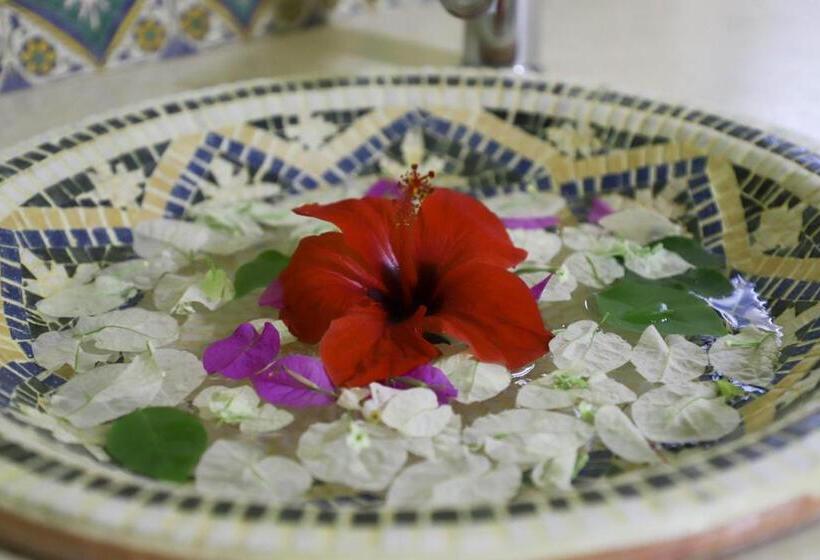 اتاق استاندارد با چشمانداز استخر, Dar El Jerbi