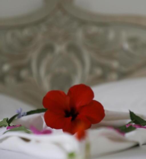 اتاق استاندارد, Dar El Jerbi