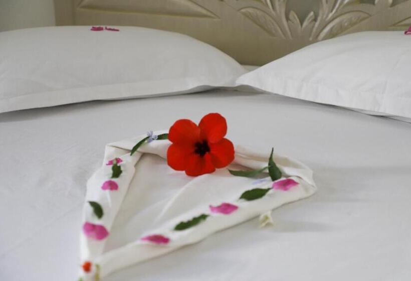 اتاق استاندارد, Dar El Jerbi