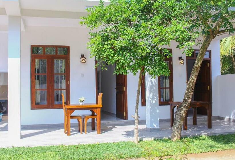 Номер Стандарт, Milanka Guest