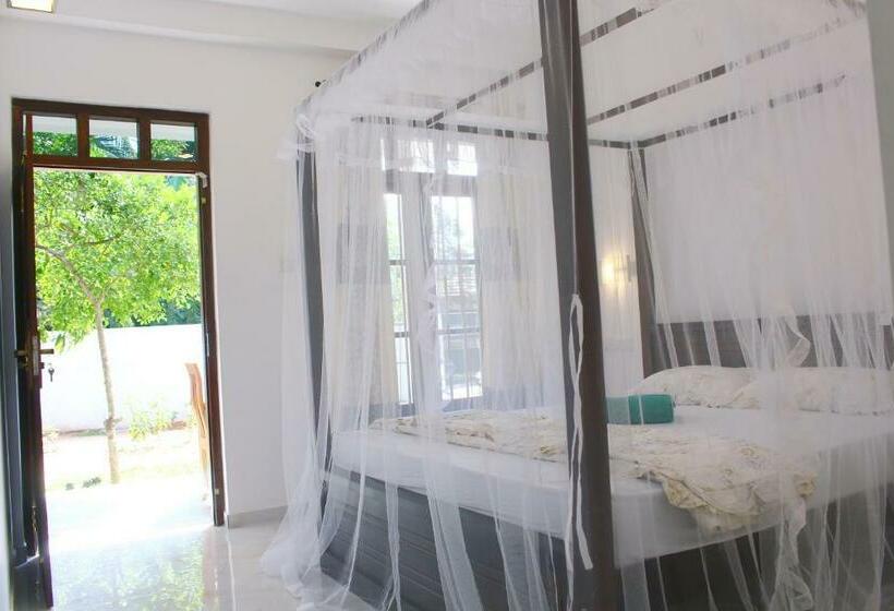 Номер Стандарт, Milanka Guest